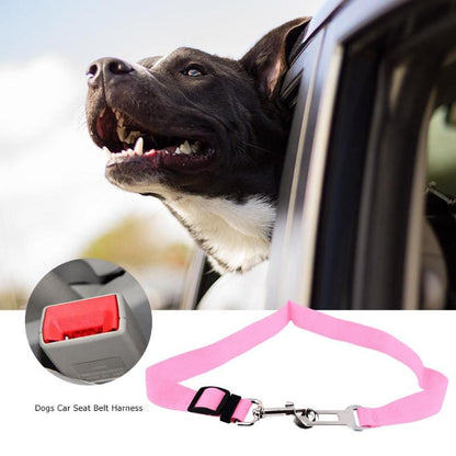 SafePet Car Seat Belt