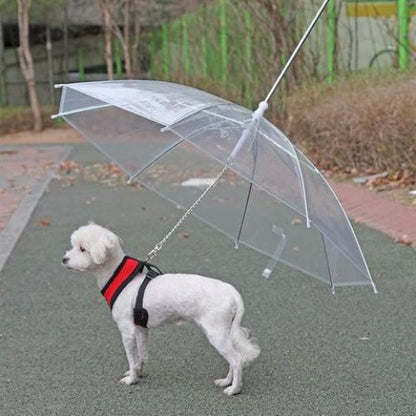 Paws Dry Pet Umbrella