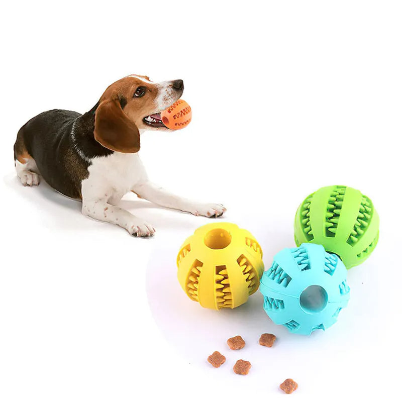 Elastic Dog Chew Toy