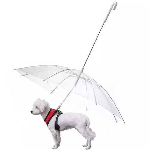 Paws Dry Pet Umbrella