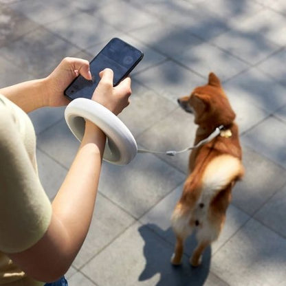 Bright Pup Safety Leash