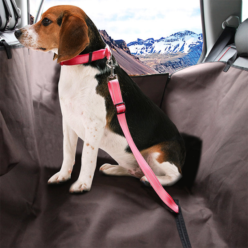 SafePet Car Seat Belt