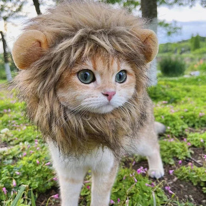 Cat Lion Mane Costume